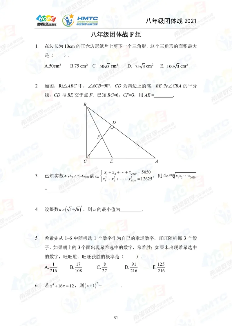 2024年8年级完整版_希望杯IHC