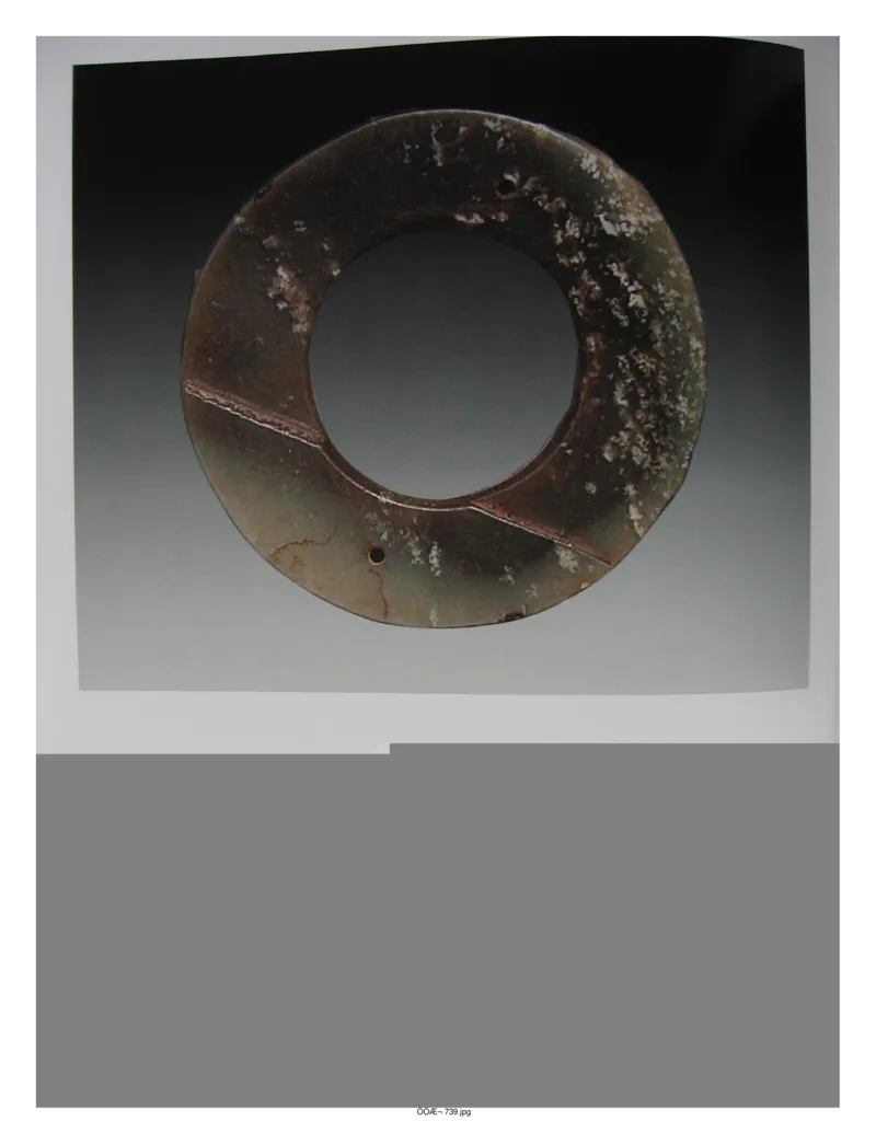 中国出土玉器全集(15)甘肃青海宁夏新疆_部分1_X018-玉石珠宝鉴定教程最新合集_5、玉石鉴定专题全套课程_玉石电子书_中国出土玉石全集