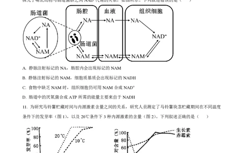 2023年高考生物试卷（重庆）（空白卷）_生物历年高考真题_新&middot;PDF版2008-2025&middot;高考生物真题_生物（按年份分类）2008-2025_2023&middot;高考生物真题