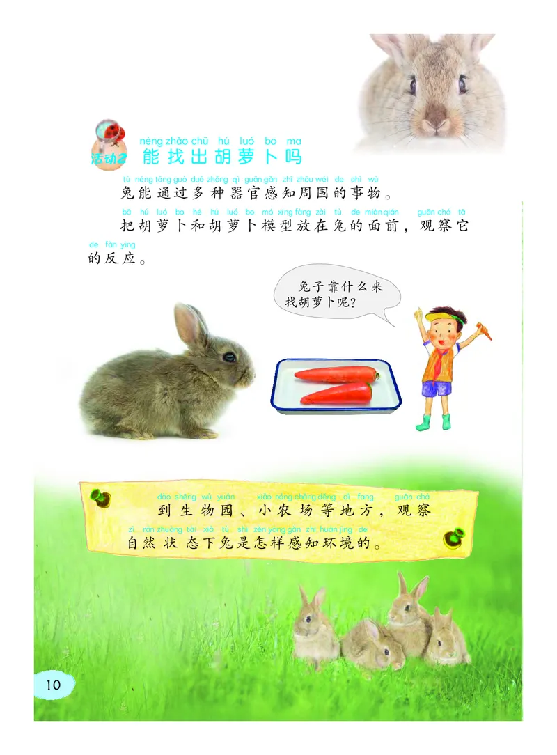 粤教版2年级科学下册高清教材_全部版本&bull;小学科学电子课本_粤教版小学科学电子课本