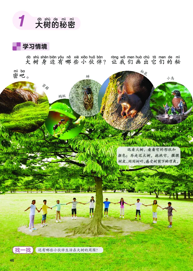 美术一下人美版（2025春）_小学全网线上同款资料_2025春新增教材合集_小学美术（2025春新教材）