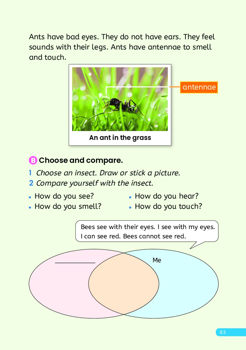 英语三下人教大同版（2025春）_小学全网线上同款资料_2025春新增教材合集_小学英语（2025春新教材）
