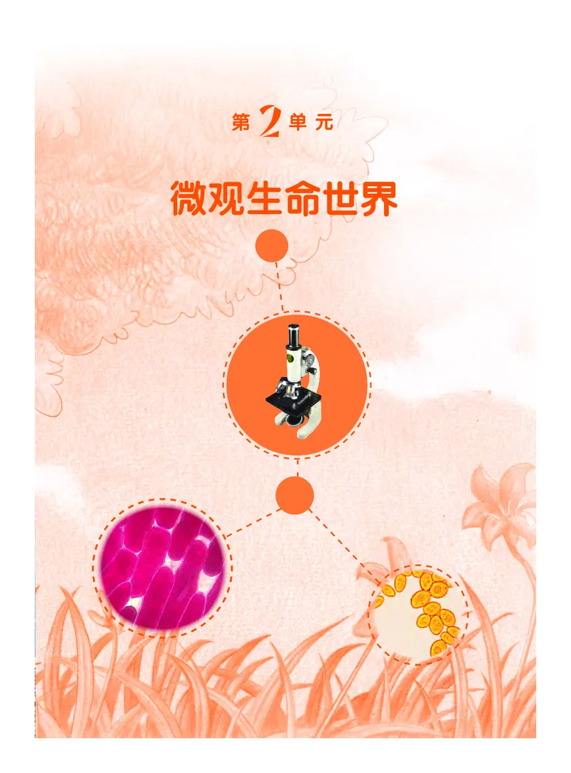 粤教版5年级科学下册高清教材_全部版本&bull;小学科学电子课本_粤教版小学科学电子课本