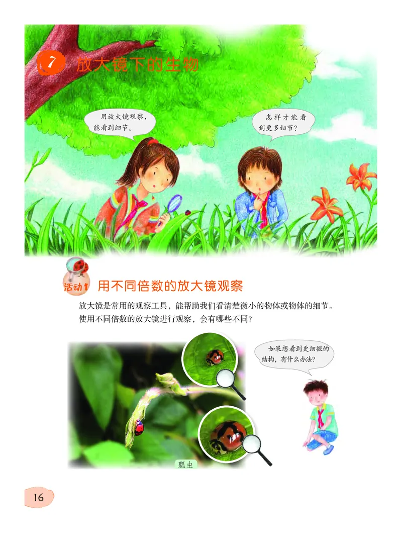 粤教版5年级科学下册高清教材_全部版本&bull;小学科学电子课本_粤教版小学科学电子课本