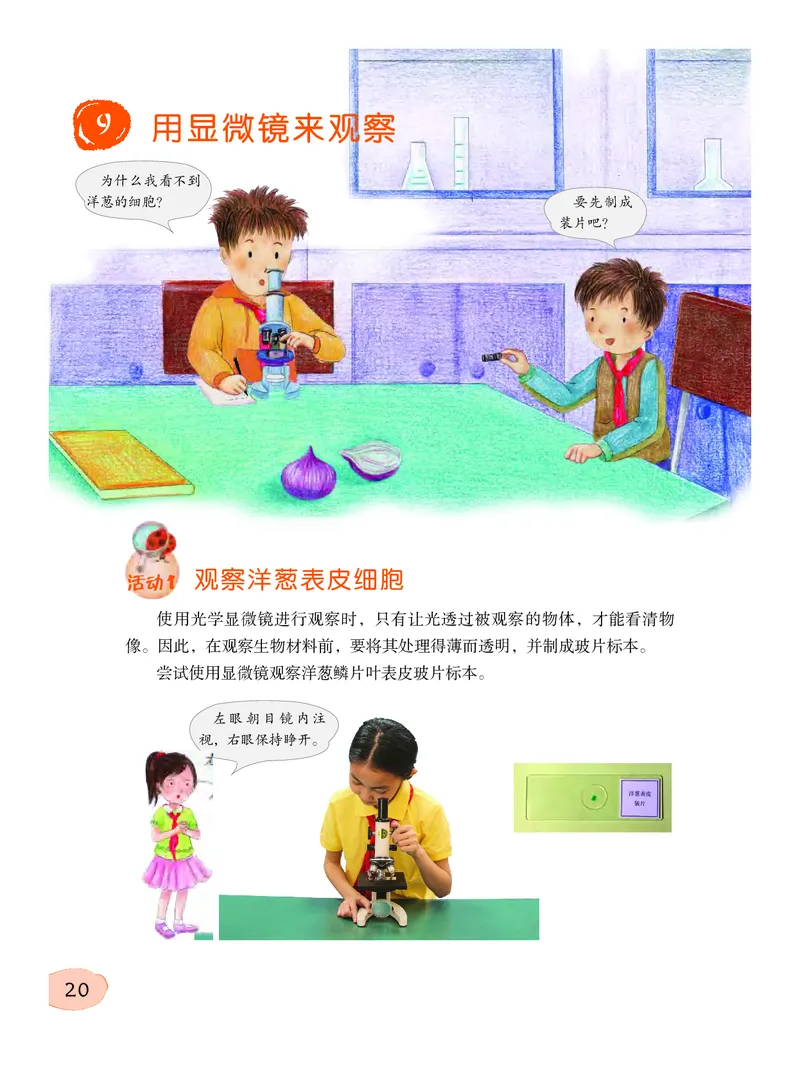 粤教版5年级科学下册高清教材_全部版本&bull;小学科学电子课本_粤教版小学科学电子课本