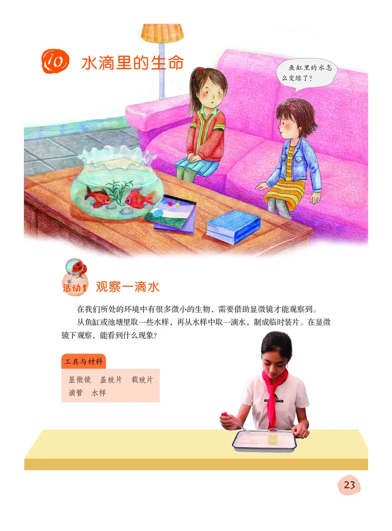 粤教版5年级科学下册高清教材_全部版本&bull;小学科学电子课本_粤教版小学科学电子课本