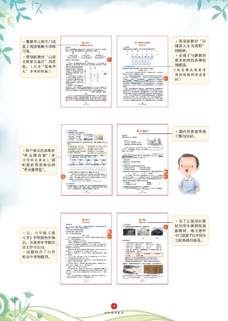 B1-2年级-六三版_二年级上下册资料_小学二年级学习资料-25年更新版_2-01、小学二年级语文上册_2-1-2、练习题、作业、试题、试卷_电子册类_《绘本课堂》语文2年级上册（RJ）