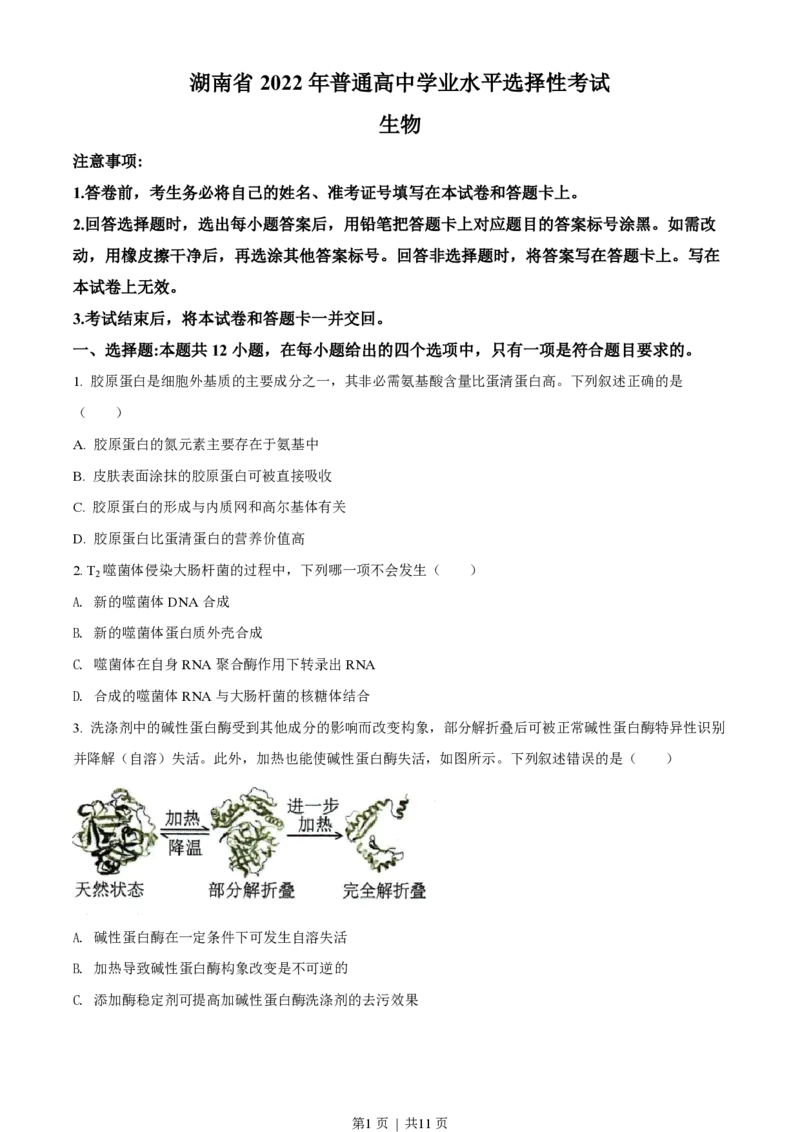 2022年高考生物试卷（湖南）（空白卷）_生物历年高考真题_新&middot;PDF版2008-2025&middot;高考生物真题_生物（按年份分类）2008-2025_2022&middot;高考生物真题
