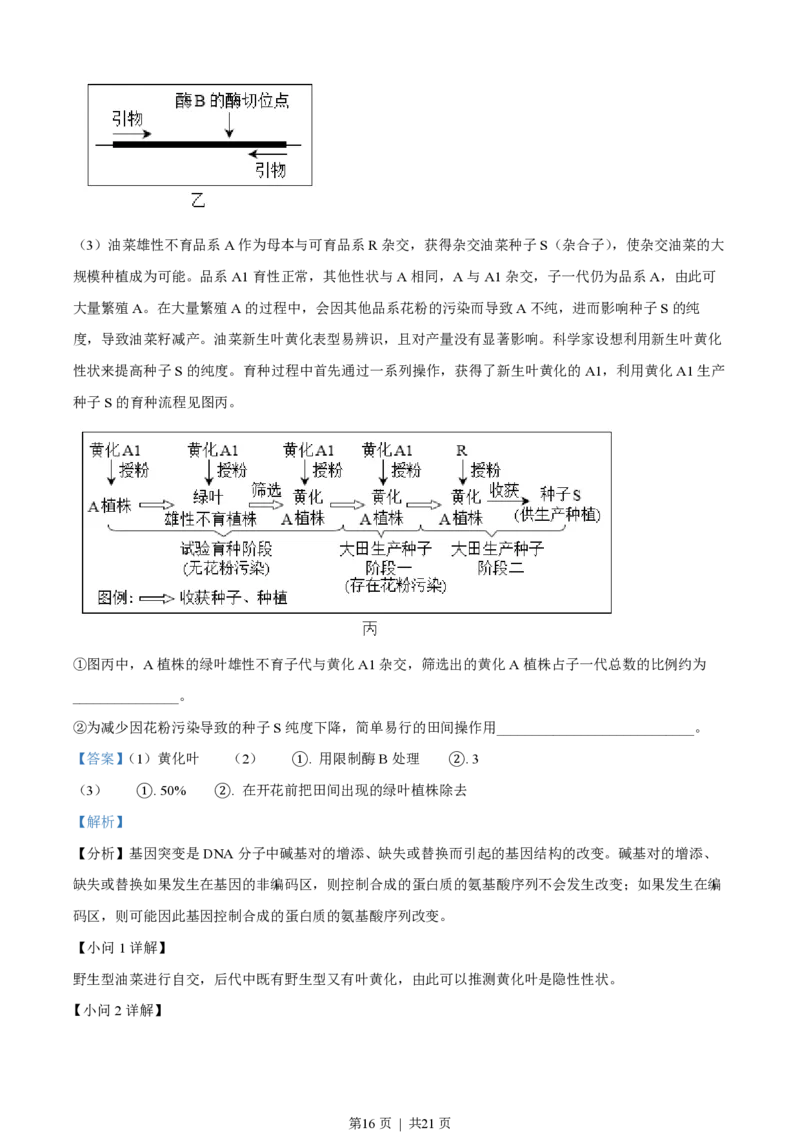 2023年高考生物试卷（北京）（解析卷）_生物历年高考真题_新&middot;PDF版2008-2025&middot;高考生物真题_生物（按省份分类）2008-2025_2008-2025&middot;（北京）生物高考真题