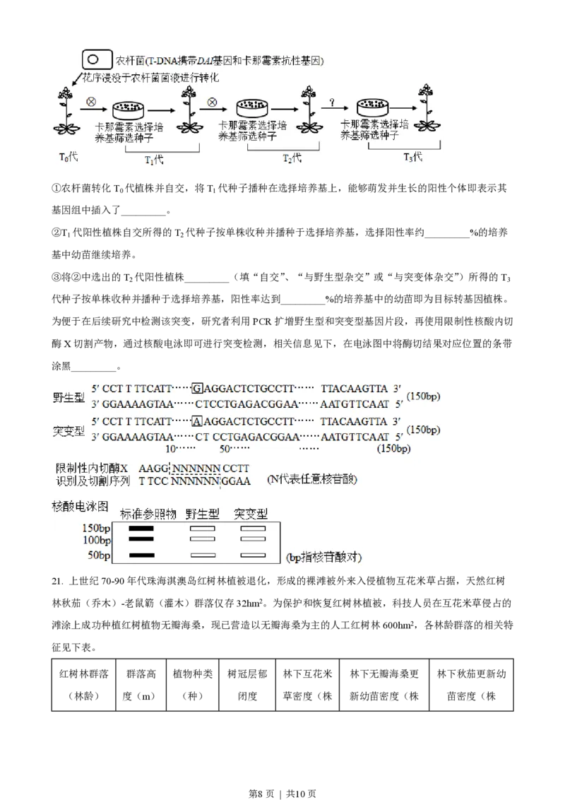 2023年高考生物试卷（广东）（空白卷）_生物历年高考真题_新&middot;PDF版2008-2025&middot;高考生物真题_生物（按省份分类）2008-2025_2008-2025&middot;（广东）生物高考真题