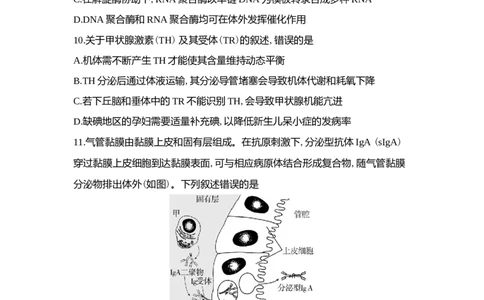 2022年高考生物试卷（河北）（解析卷）_生物历年高考真题_新&middot;Word版2008-2025&middot;高考生物真题_生物（按试卷类型分类）2008-2025_自主命题卷&middot;生物（2008-2025）_河北自主命题&middot;生物（2021-2025）