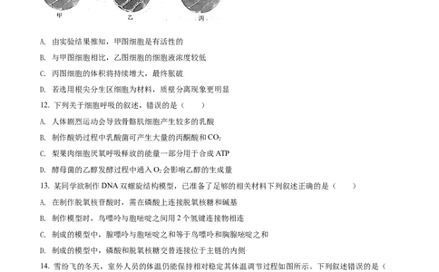 2022年高考生物试卷（浙江）6月（空白卷）_生物历年高考真题_新&middot;Word版2008-2025&middot;高考生物真题_生物（按年份分类）2008-2025_2022&middot;高考生物真题