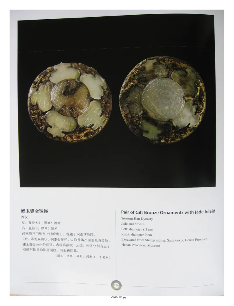 中国出土玉器全集(5)河南_部分4_X018-玉石珠宝鉴定教程最新合集_5、玉石鉴定专题全套课程_玉石电子书_中国出土玉石全集