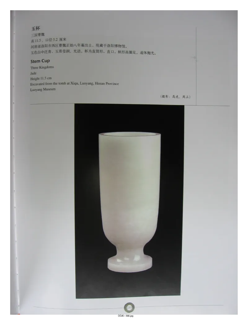 中国出土玉器全集(5)河南_部分4_X018-玉石珠宝鉴定教程最新合集_5、玉石鉴定专题全套课程_玉石电子书_中国出土玉石全集