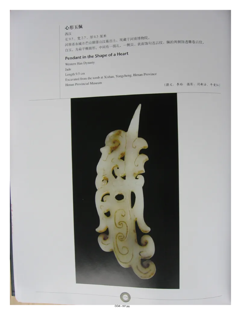 中国出土玉器全集(5)河南_部分4_X018-玉石珠宝鉴定教程最新合集_5、玉石鉴定专题全套课程_玉石电子书_中国出土玉石全集