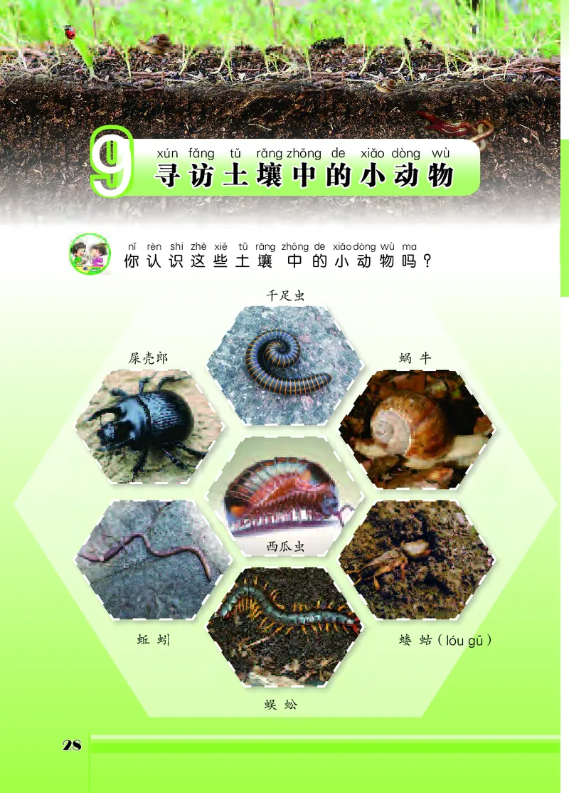 苏教版2年级科学下册高清教材_全部版本&bull;小学科学电子课本_苏教版小学科学电子课本