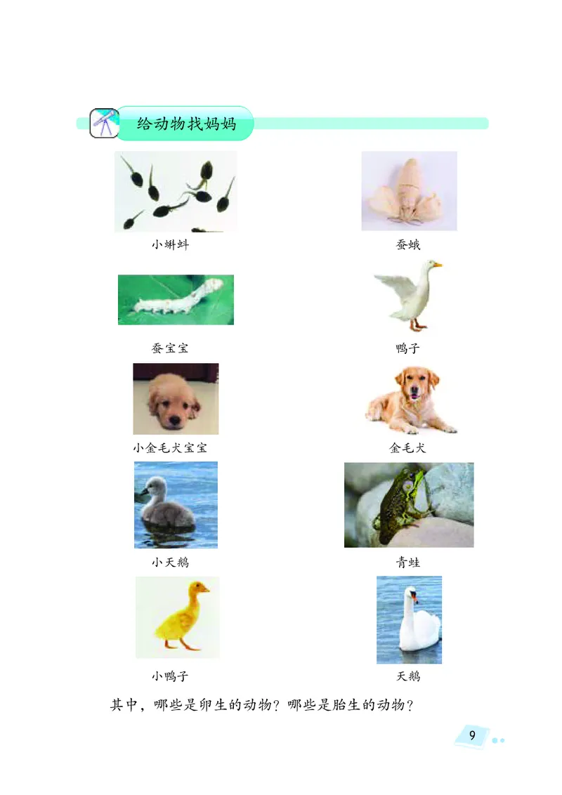 湘科版4年级科学下册活动手册_全部版本&bull;小学科学电子课本_湘科版小学科学电子课本