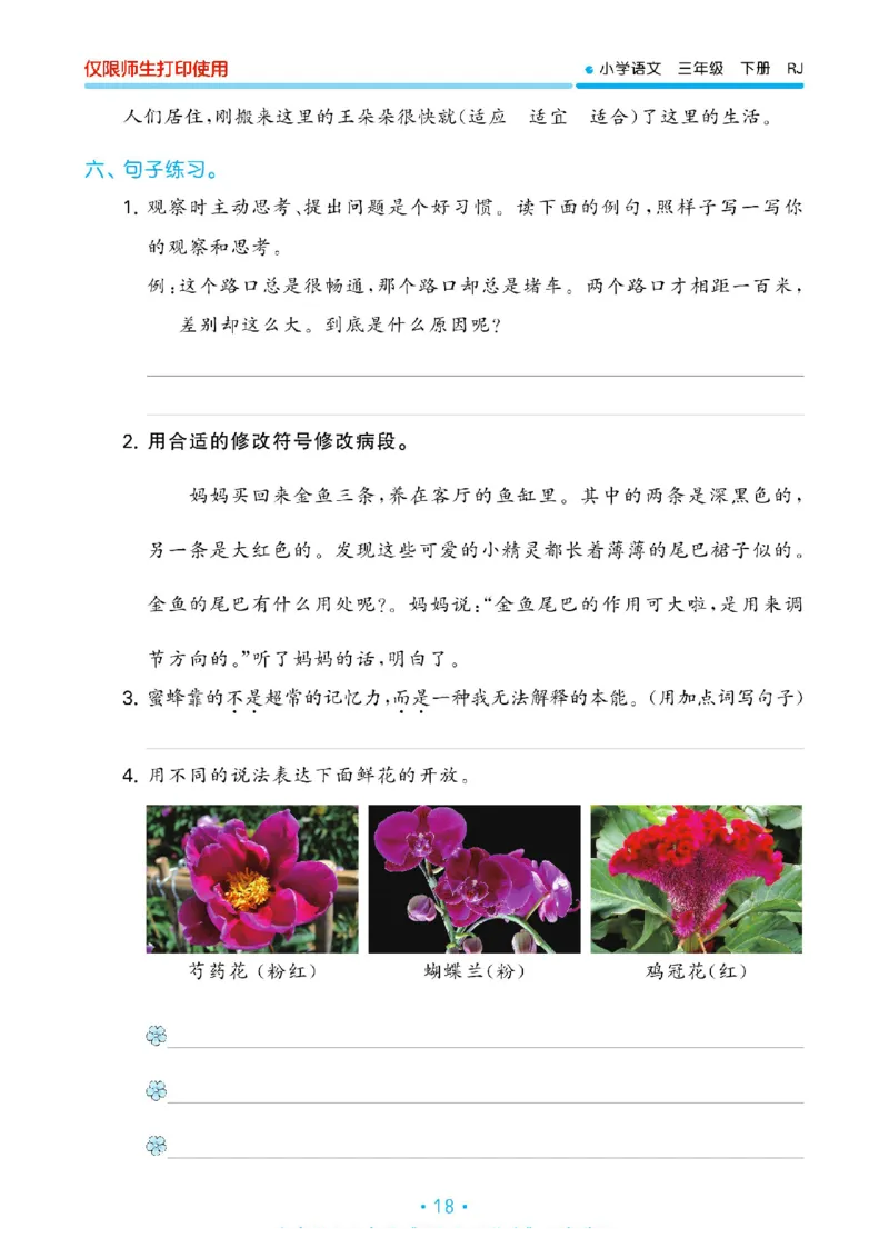 《53单元归类复习》23春语文3年级下册（RJ）_三年级上下册资料_小学三年级学习资料-25年更新版_3-02、小学三年级语文下册_3-2-2、练习题、作业、试题、试卷_电子册类