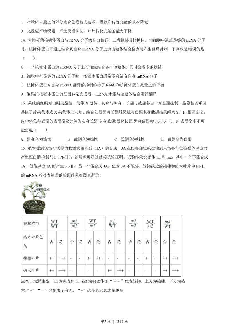 2022年高考生物试卷（湖南）（空白卷）_生物历年高考真题_新&middot;PDF版2008-2025&middot;高考生物真题_生物（按省份分类）2008-2025_2008-2025&middot;（湖南）生物高考真题