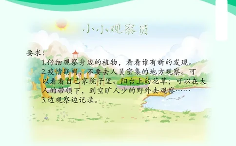 7花儿草儿真美丽_课件_一年级上下册资料_小学一年级学习资料-25年更新版_1-08、小学一年级道德与法治下册_课时练与课件