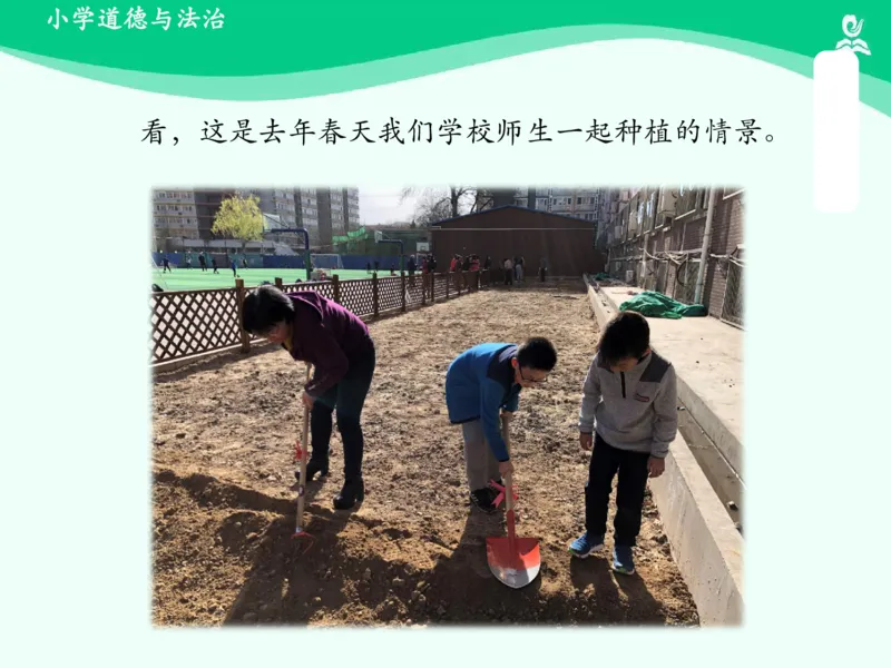 7花儿草儿真美丽_课件_一年级上下册资料_小学一年级学习资料-25年更新版_1-08、小学一年级道德与法治下册_课时练与课件