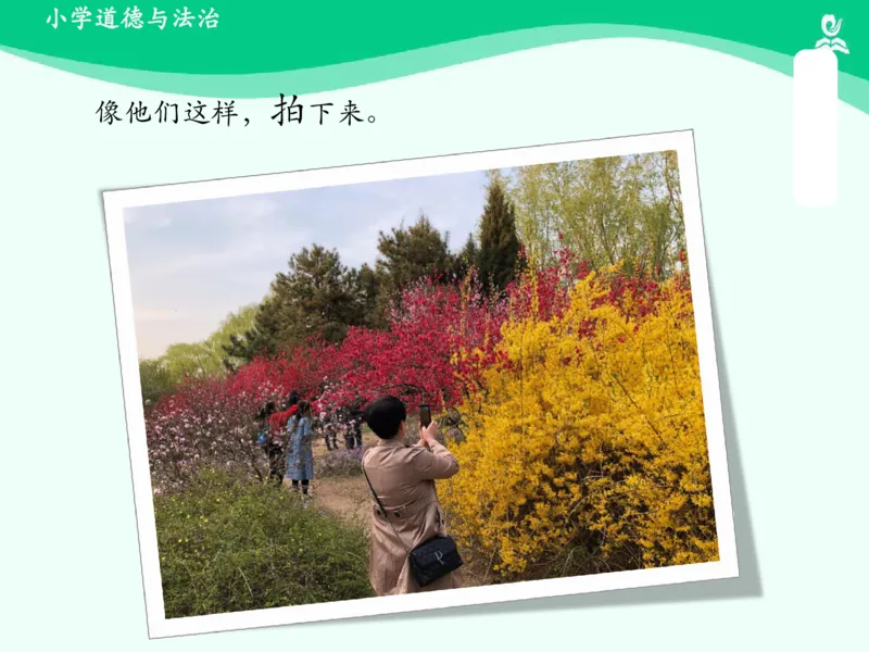 7花儿草儿真美丽_课件_一年级上下册资料_小学一年级学习资料-25年更新版_1-08、小学一年级道德与法治下册_课时练与课件