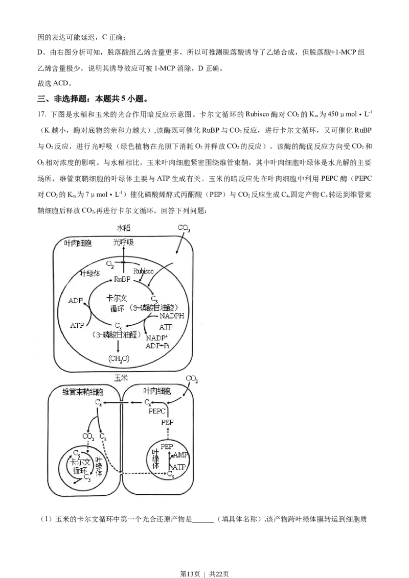 2023年高考生物试卷（湖南）（解析卷）_生物历年高考真题_新&middot;Word版2008-2025&middot;高考生物真题_生物（按试卷类型分类）2008-2025_自主命题卷&middot;生物（2008-2025）_湖南自主命题&middot;生物（2021-2025）