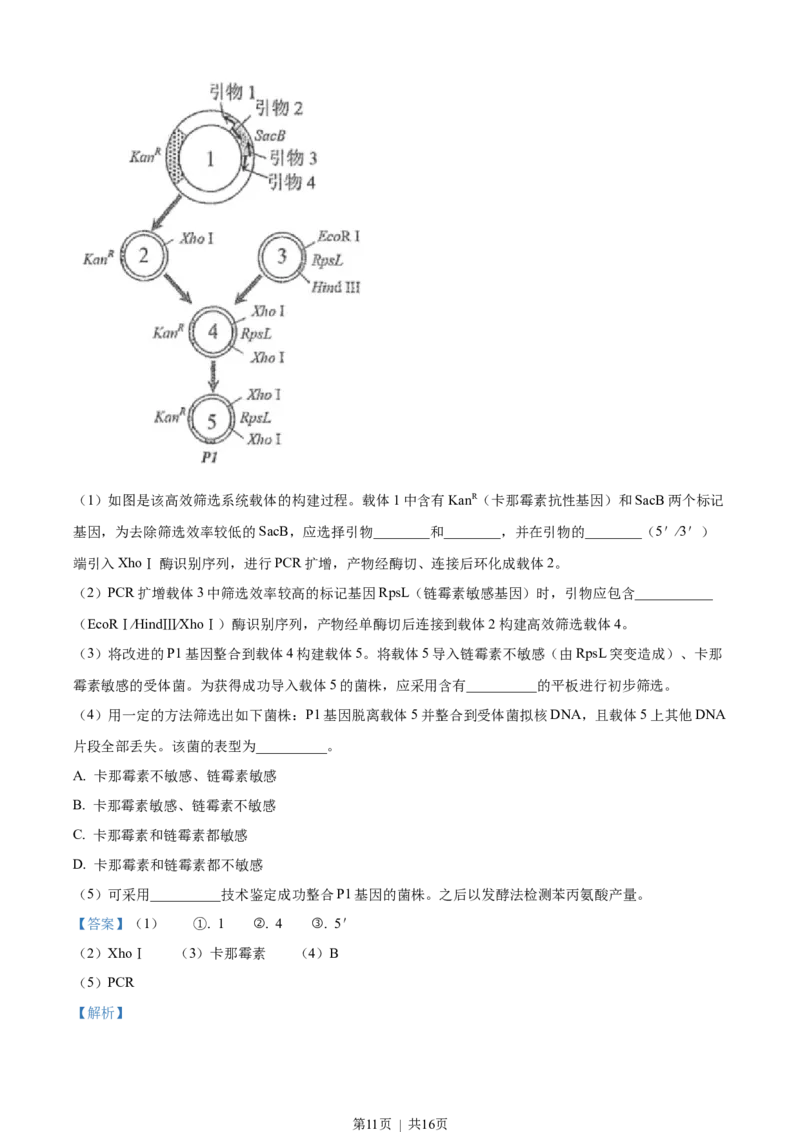2022年高考生物试卷（天津）（空白卷）_生物历年高考真题_新&middot;Word版2008-2025&middot;高考生物真题_生物（按年份分类）2008-2025_2022&middot;高考生物真题