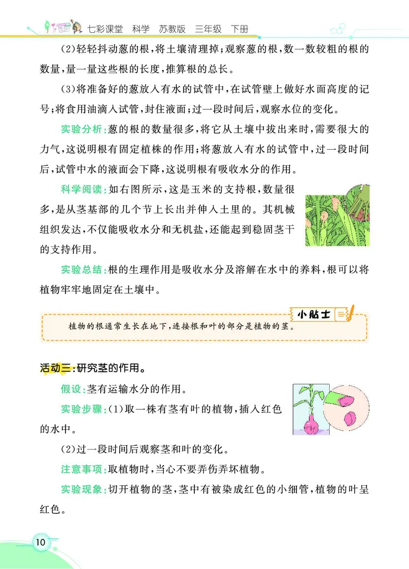 《七彩课堂》3年级下册（苏教版）_三年级上下册资料_小学三年级学习资料-25年更新版_3-10、小学三年级科学下册_苏教版_电子册类