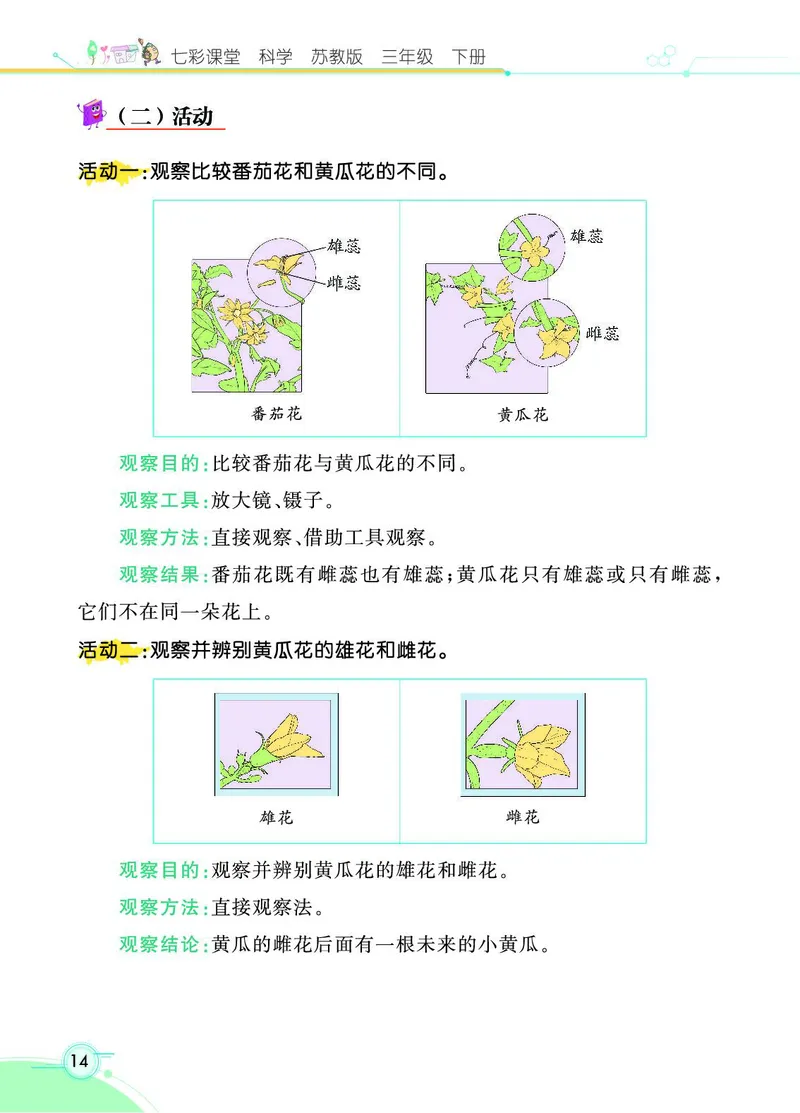 《七彩课堂》3年级下册（苏教版）_三年级上下册资料_小学三年级学习资料-25年更新版_3-10、小学三年级科学下册_苏教版_电子册类