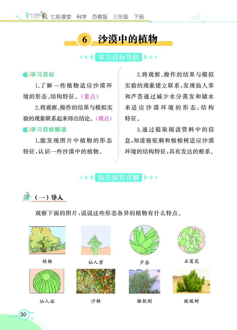 《七彩课堂》3年级下册（苏教版）_三年级上下册资料_小学三年级学习资料-25年更新版_3-10、小学三年级科学下册_苏教版_电子册类