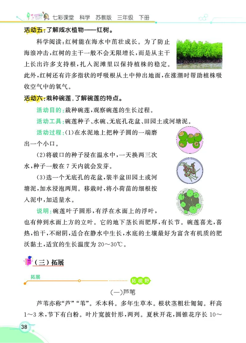 《七彩课堂》3年级下册（苏教版）_三年级上下册资料_小学三年级学习资料-25年更新版_3-10、小学三年级科学下册_苏教版_电子册类