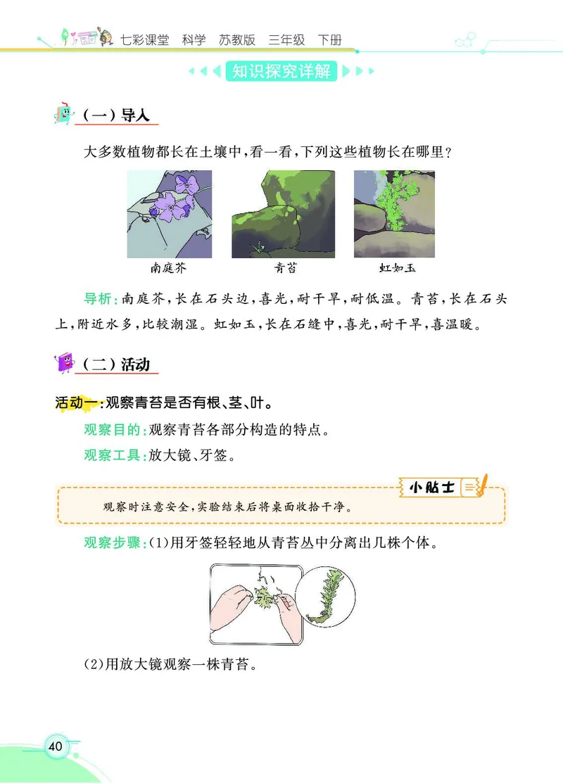 《七彩课堂》3年级下册（苏教版）_三年级上下册资料_小学三年级学习资料-25年更新版_3-10、小学三年级科学下册_苏教版_电子册类