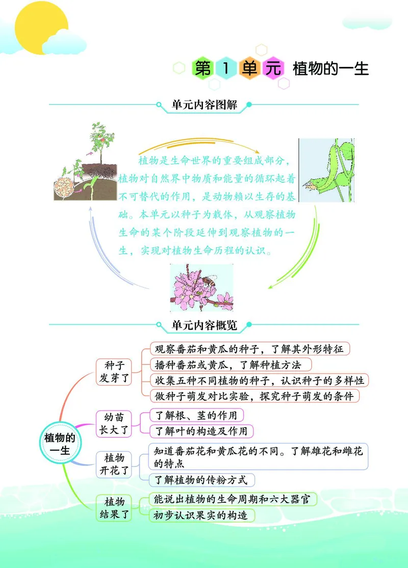 《七彩课堂》3年级下册（苏教版）_三年级上下册资料_小学三年级学习资料-25年更新版_3-10、小学三年级科学下册_苏教版_电子册类
