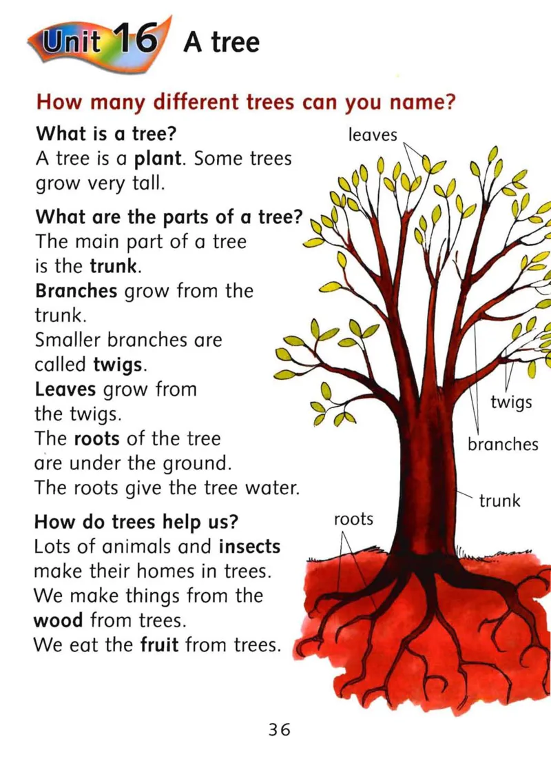 rc2比绘本还有趣的阅读理解文档提取2023.12.2909.59_一年级上下册资料_小学一年级学习资料-25年更新版_1-00、幼小衔接_幼小衔接自然拼读