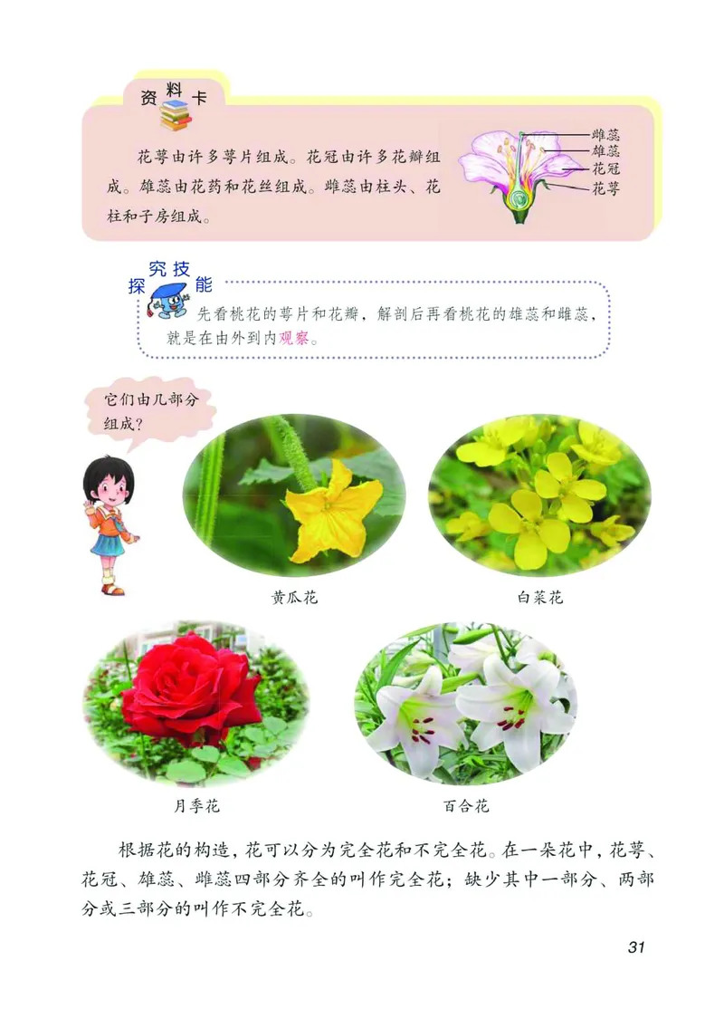 青岛版3年级科学下册高清教材_全部版本&bull;小学科学电子课本_青岛版63制小学科学课本