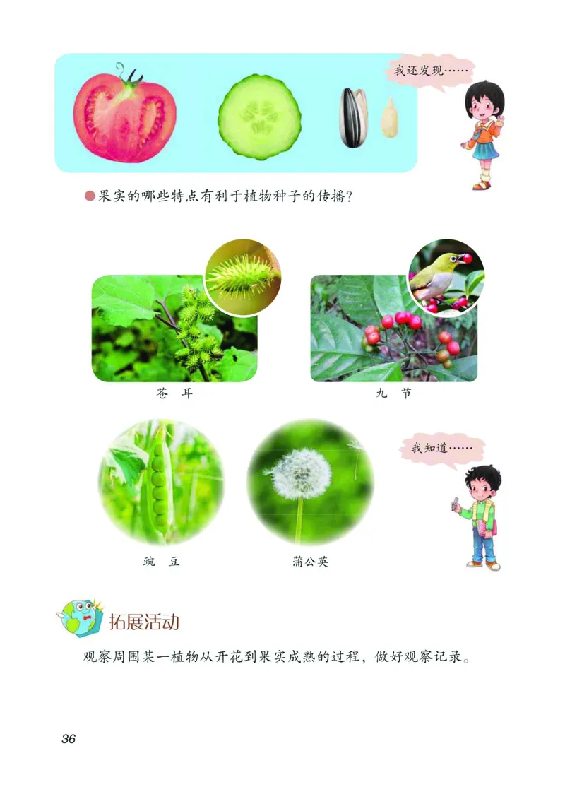 青岛版3年级科学下册高清教材_全部版本&bull;小学科学电子课本_青岛版63制小学科学课本