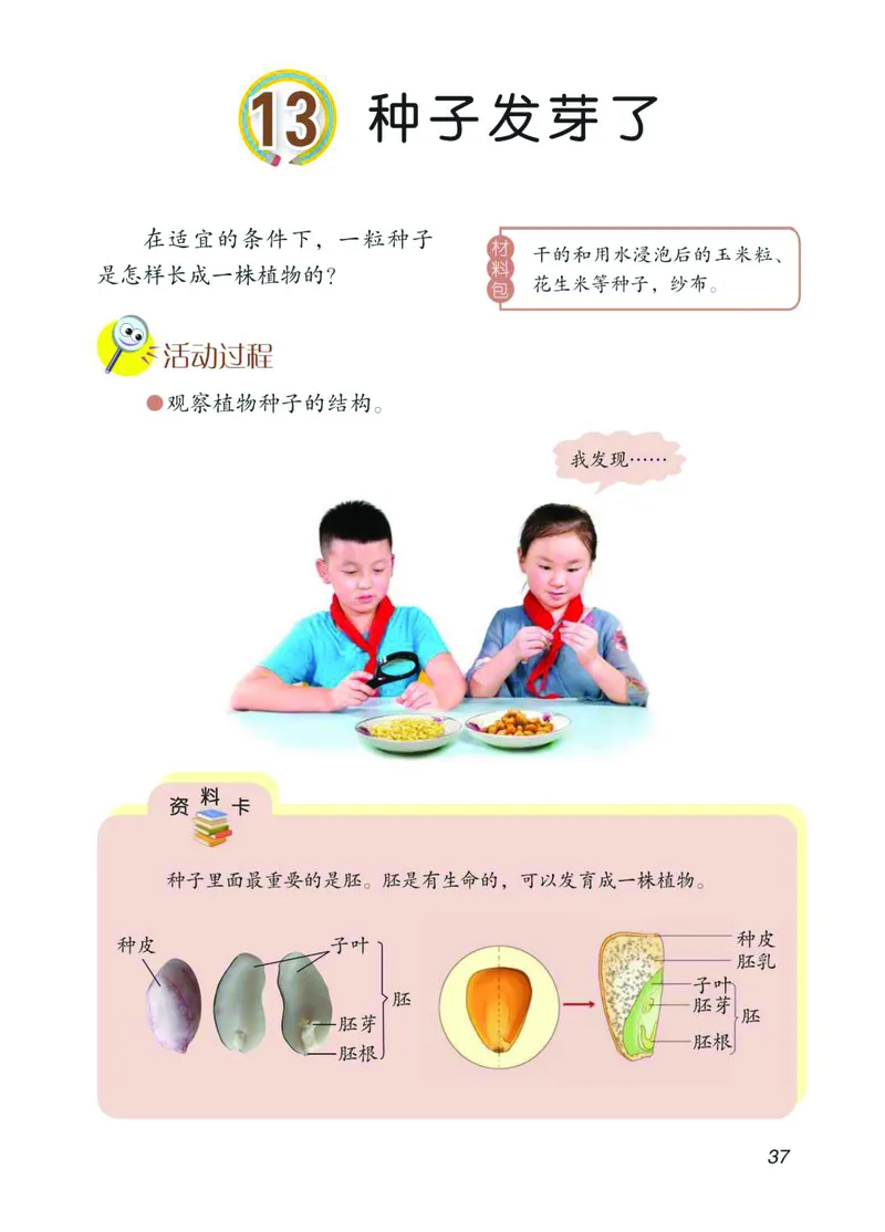 青岛版3年级科学下册高清教材_全部版本&bull;小学科学电子课本_青岛版63制小学科学课本