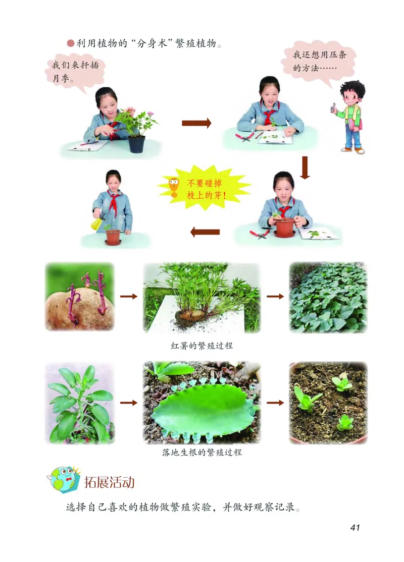 青岛版3年级科学下册高清教材_全部版本&bull;小学科学电子课本_青岛版63制小学科学课本