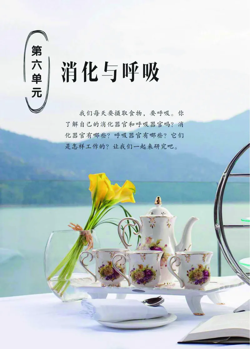 青岛版3年级科学下册高清教材_全部版本&bull;小学科学电子课本_青岛版63制小学科学课本