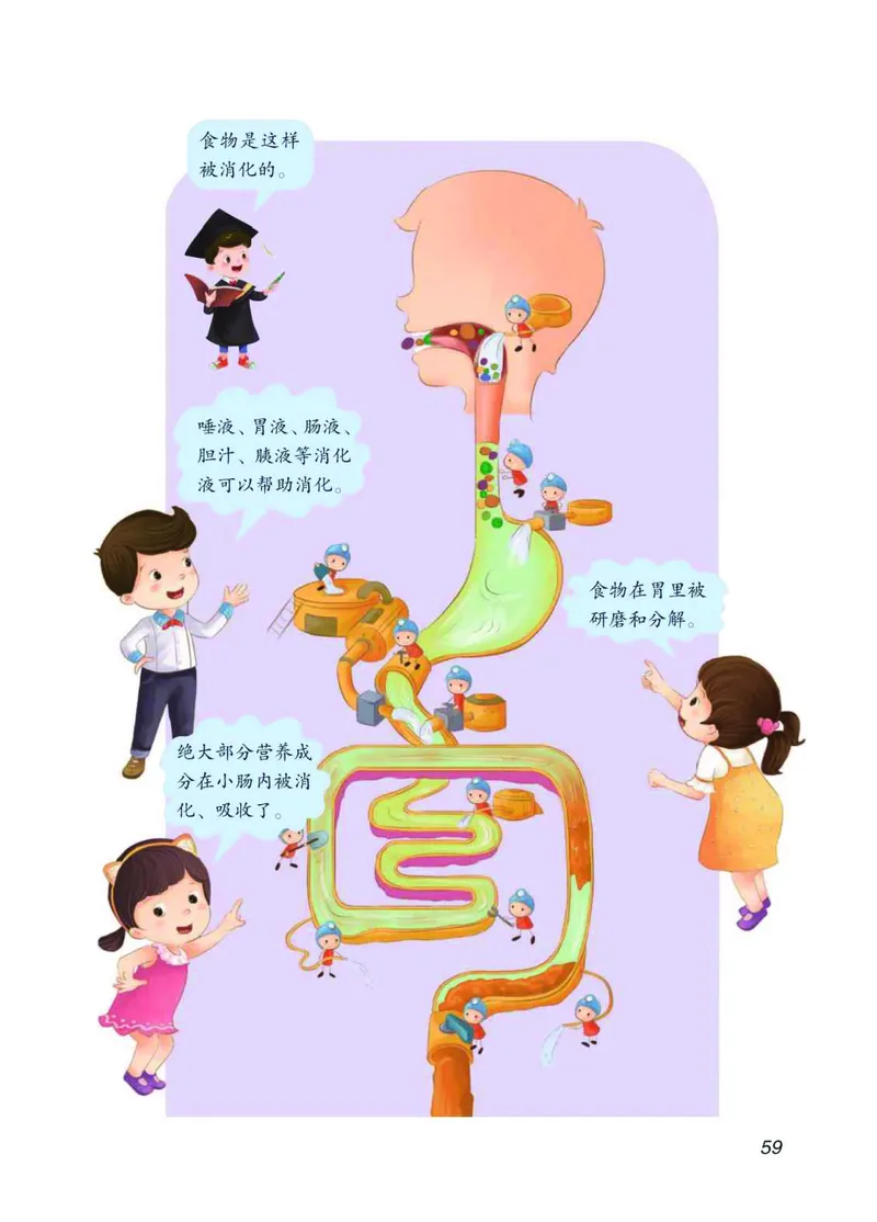 青岛版3年级科学下册高清教材_全部版本&bull;小学科学电子课本_青岛版63制小学科学课本