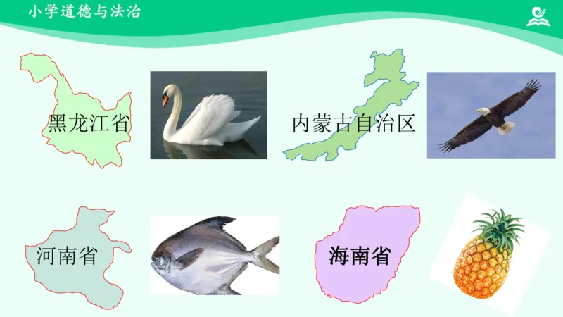 8请到我的家乡来_课件_三年级上下册资料_小学三年级学习资料-25年更新版_3-08、小学三年级道法下册_课时练与课件