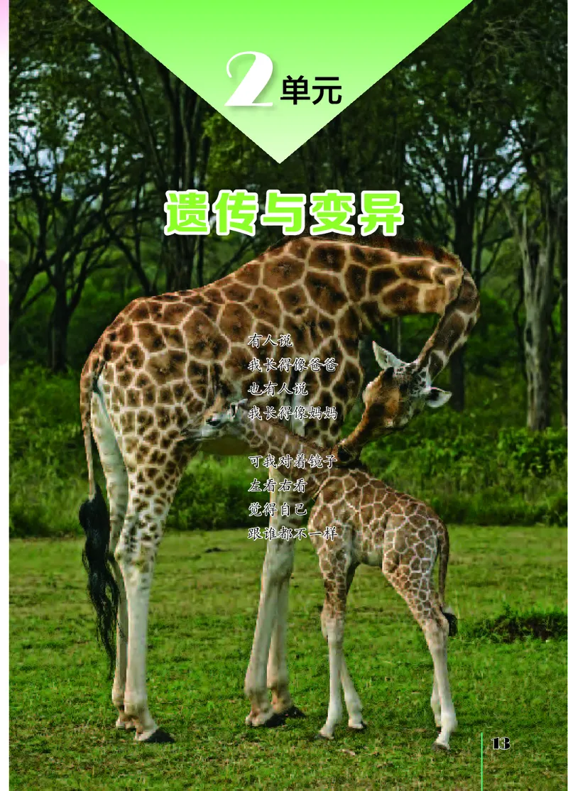 苏教版6年级科学上册高清教材_全部版本&bull;小学科学电子课本_苏教版小学科学电子课本