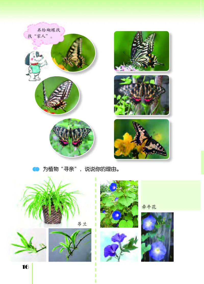 苏教版6年级科学上册高清教材_全部版本&bull;小学科学电子课本_苏教版小学科学电子课本