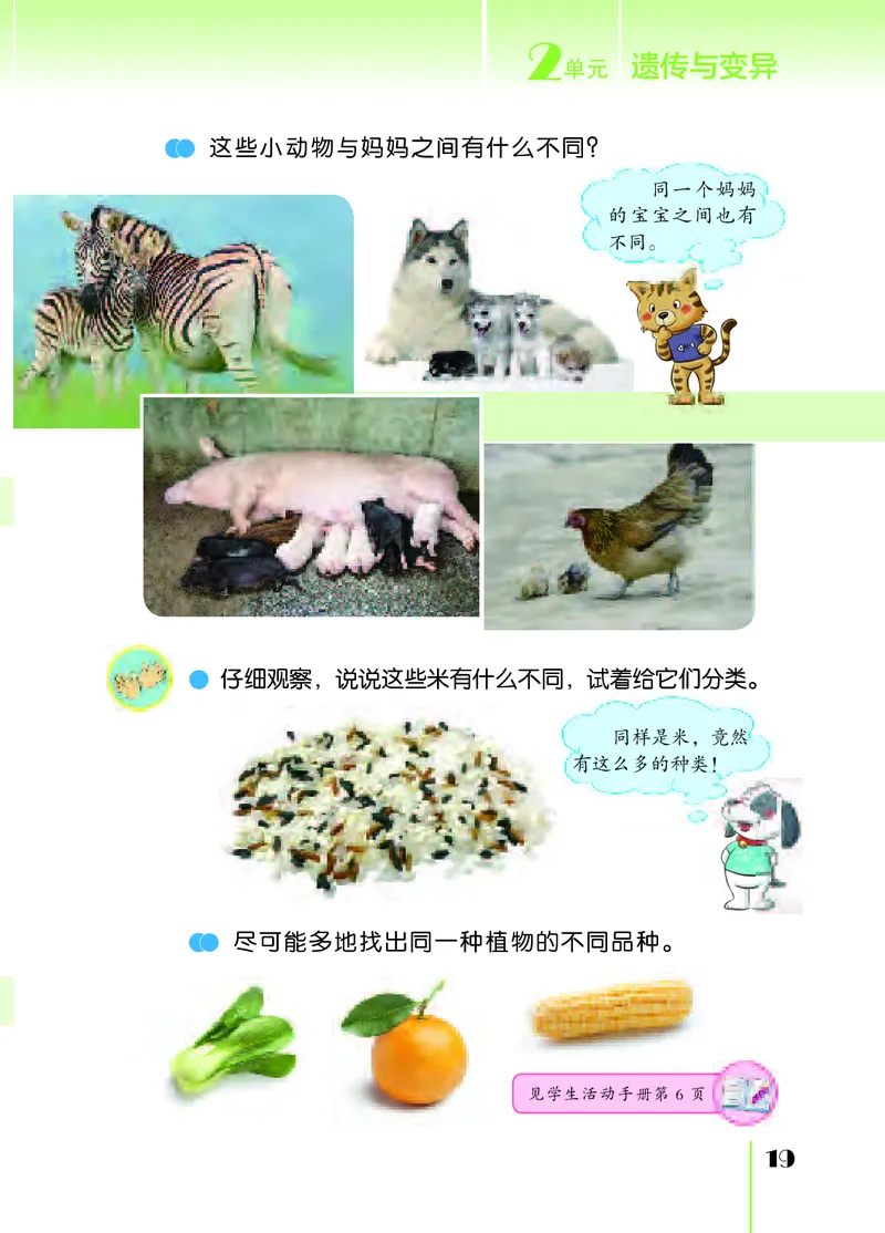 苏教版6年级科学上册高清教材_全部版本&bull;小学科学电子课本_苏教版小学科学电子课本