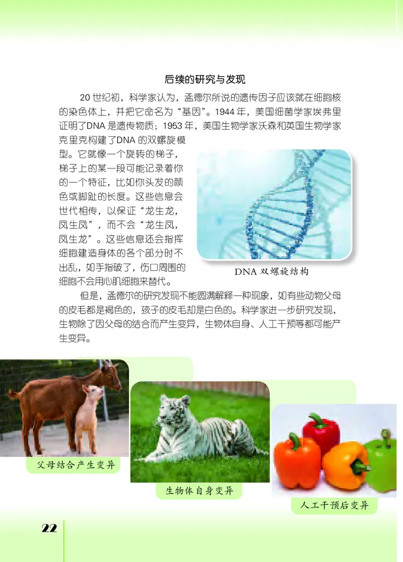 苏教版6年级科学上册高清教材_全部版本&bull;小学科学电子课本_苏教版小学科学电子课本