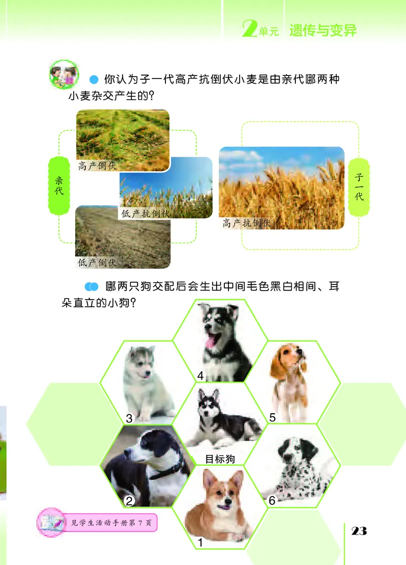 苏教版6年级科学上册高清教材_全部版本&bull;小学科学电子课本_苏教版小学科学电子课本