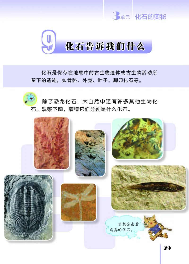 苏教版6年级科学上册高清教材_全部版本&bull;小学科学电子课本_苏教版小学科学电子课本