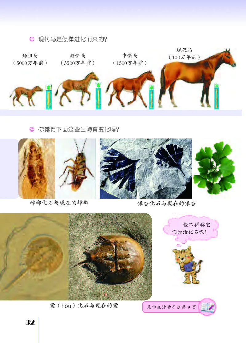 苏教版6年级科学上册高清教材_全部版本&bull;小学科学电子课本_苏教版小学科学电子课本