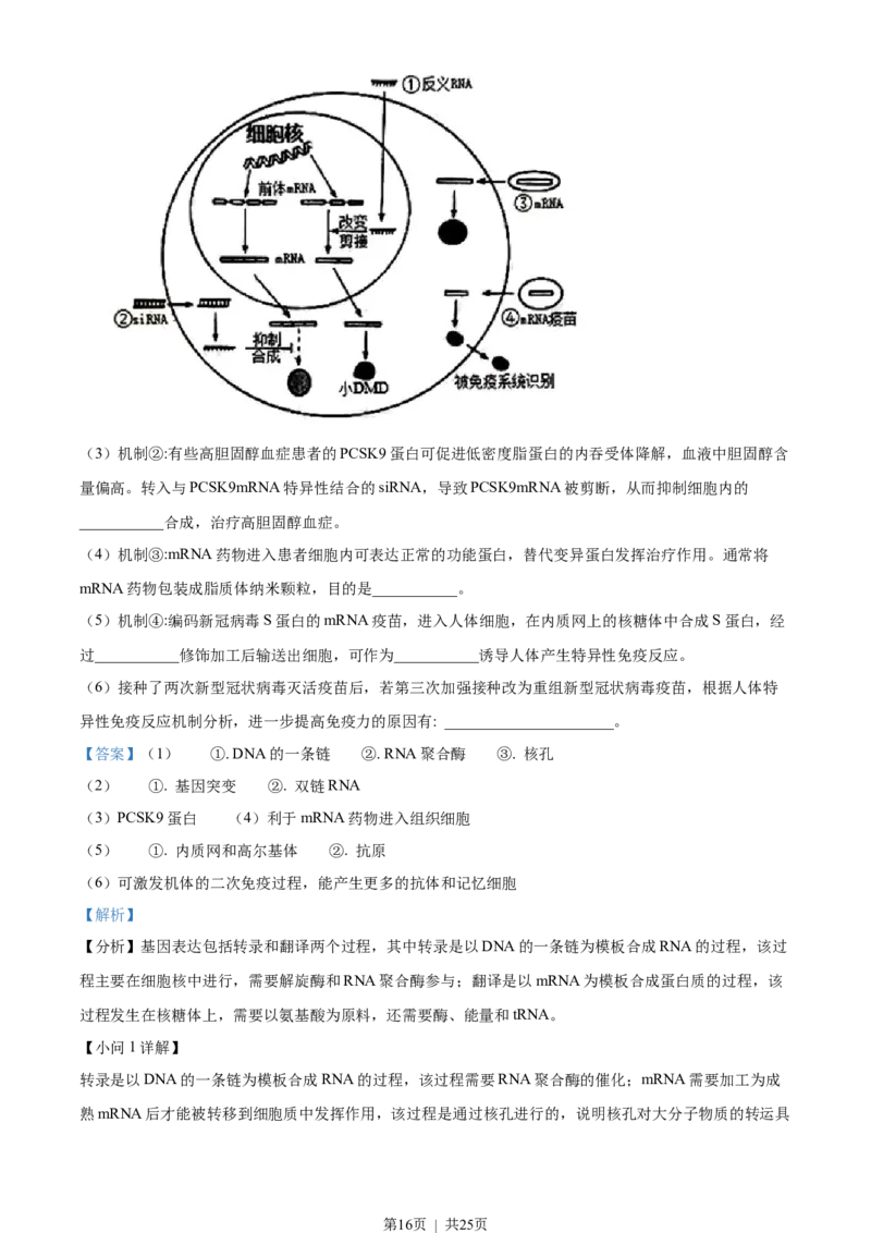 2022年高考生物试卷（江苏）（解析卷）_生物历年高考真题_新&middot;Word版2008-2025&middot;高考生物真题_生物（按年份分类）2008-2025_2022&middot;高考生物真题
